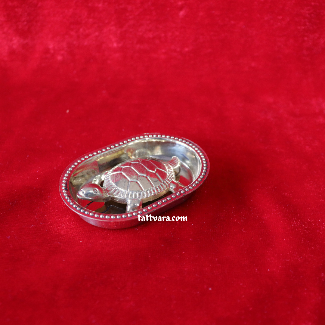 tortoiseSilver Feng Shui Tortoise for positive energy | Vastu - Image 1