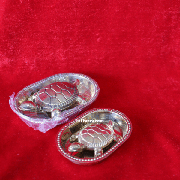 Feng Shui Tortoise for positive energy | Vastu