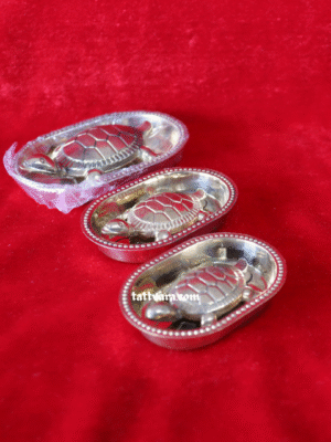 tortoiseSilver2