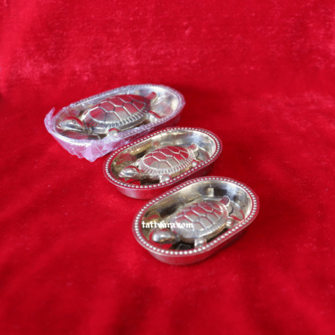 tortoiseSilver2